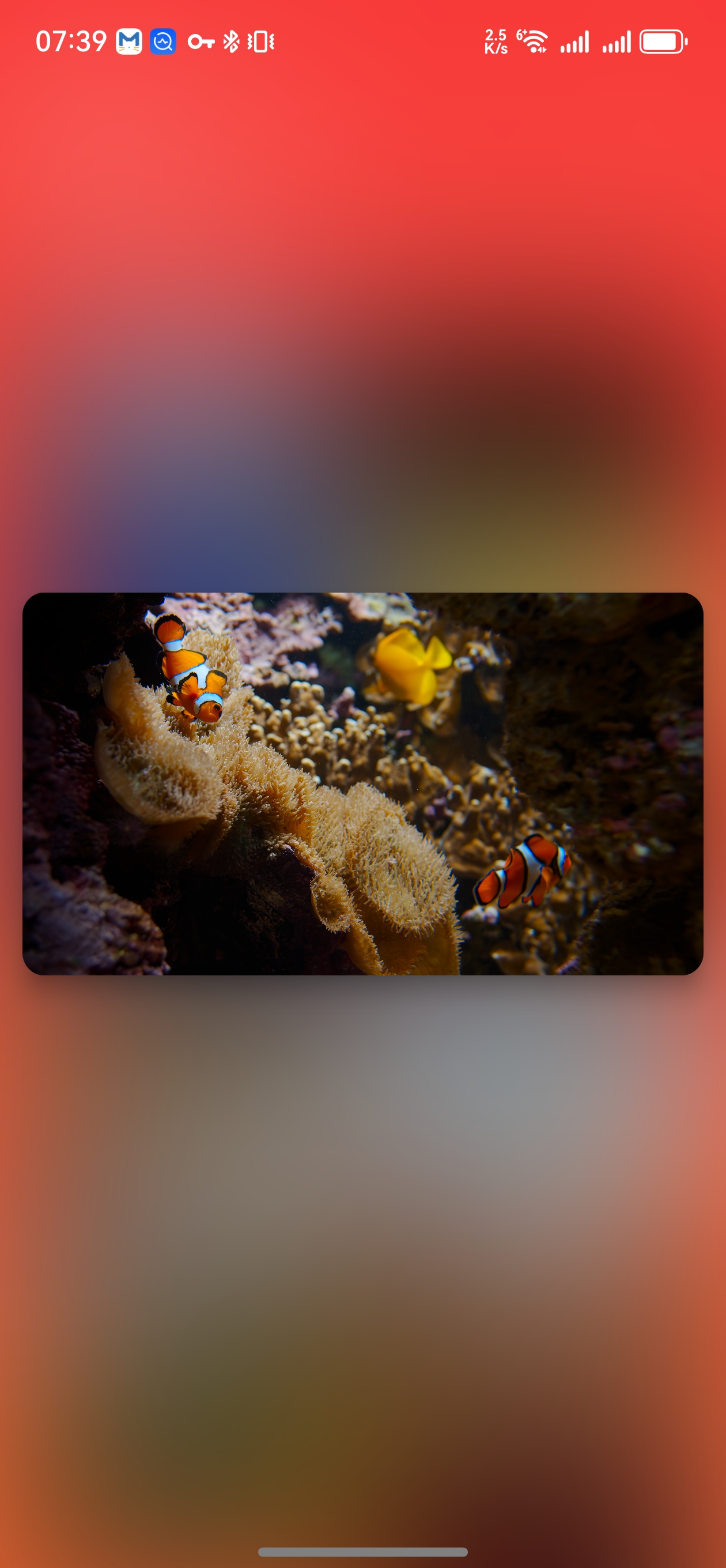 3d 1
